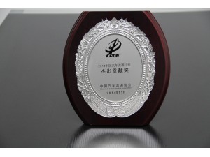 2014中國汽車流通行業(yè)杰出貢獻(xiàn)獎